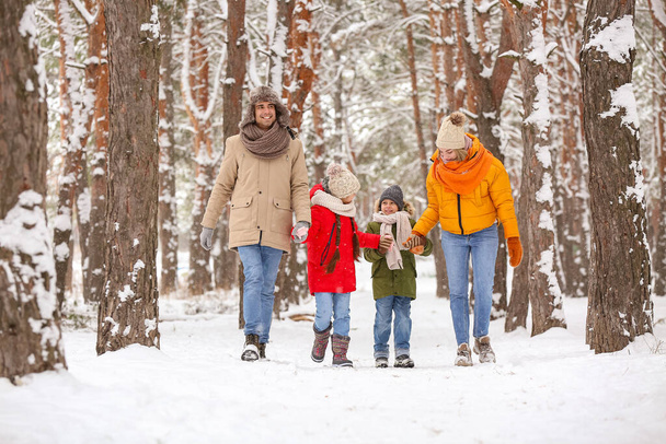 Happy family walking in forest on snowy winter day - Photo, Image