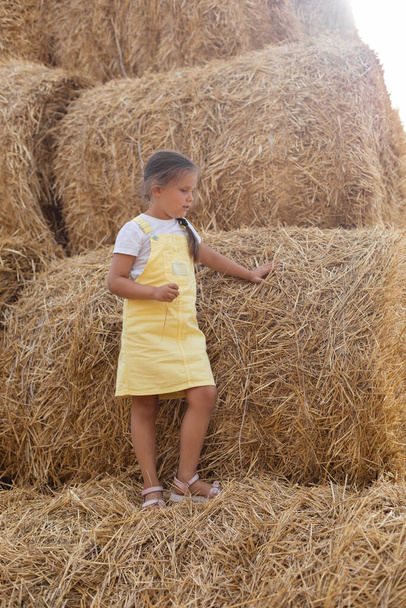 Portrait of nice young female kid standing on haystack thinking eyes looking down and holding hay in one hand wearing sundress. Having fun away from city on field full of golden hay - Photo, image