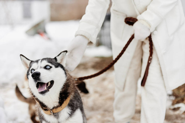 jonge vrouw met husky winter landschap lopen vriendschap frisse lucht - Foto, afbeelding