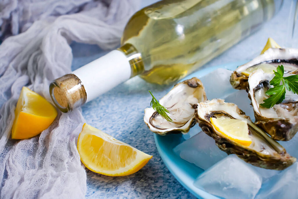 ostras frescas, vinho branco limão - Foto, Imagem