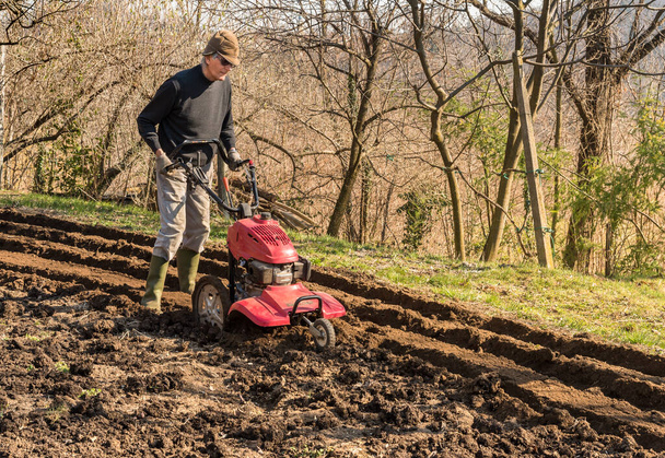 Senior man tilling ground soil with a rototiller in the garden. Spring garden preparation for seeding. - Photo, Image