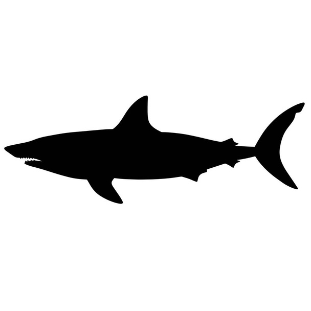 Ilustración en blanco y negro del tiburón. Silueta de un monstruo marino. Un terrible depredador sediento de sangre. Un monstruo de las profundidades del océano - Foto, imagen