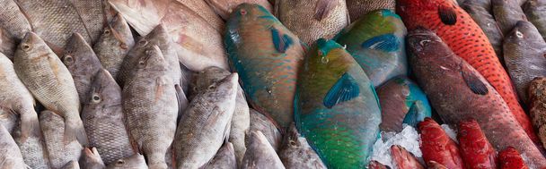 Fresh raw caught fishes on ice sale at fish market. Seafood pattern - Photo, Image