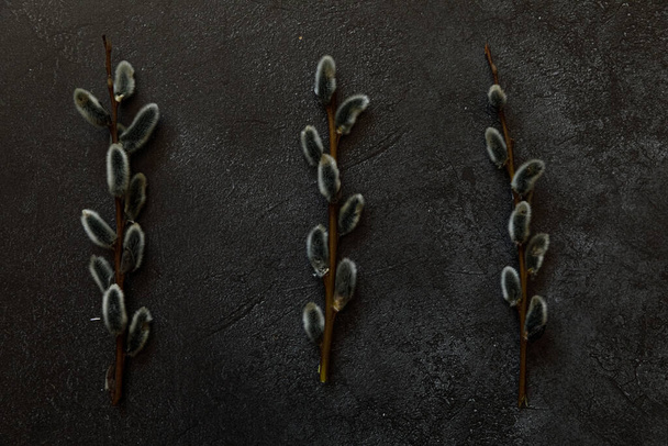Happy Easter concept. Preparation for holiday. Pussy willow flowers branches on trendy grunge scratched dark black stone shale background. Simple minimalism flat lay top view, copy space - Фото, зображення