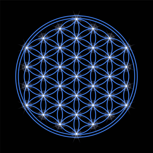Elämän sininen kukka tähtineen, mustalla taustalla. Geometrinen kuvio ja muinainen henkinen symboli Pyhän Geometrian. Päällekkäiset ympyrät, jotka muodostavat kukkakuvion. Kuvitus. Vektori - Vektori, kuva