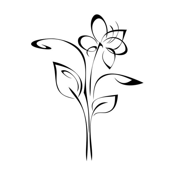 flor estilizada en tallo con hoja en líneas negras sobre fondo blanco - Vector, imagen