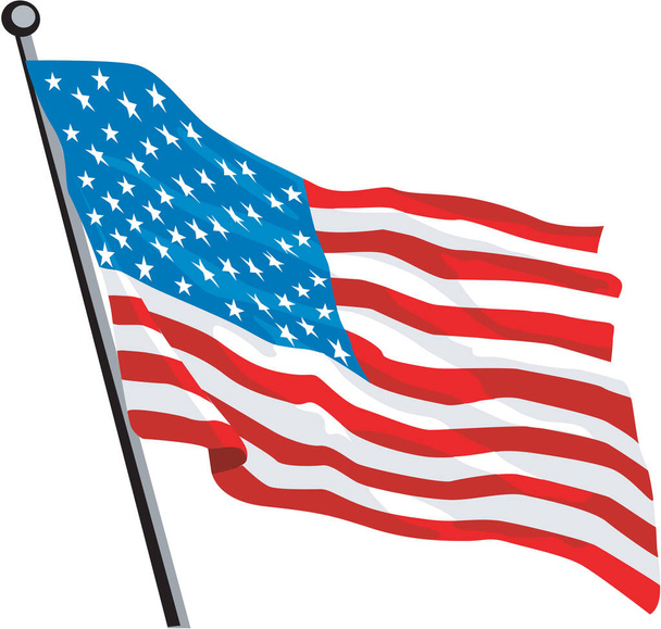 USA Vektorová ilustrace vlajky - Vektor, obrázek