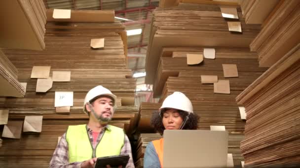 アフリカ系アメリカ人女性労働者の安全統一とハード帽子と男性の同僚は、工場倉庫での保管、在庫注文、積層紙製造の山、業界製品管理を検査します. - 映像、動画