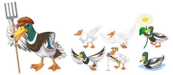Conjunto de diferentes poses de personajes de dibujos animados patos ilustración - Vector, Imagen