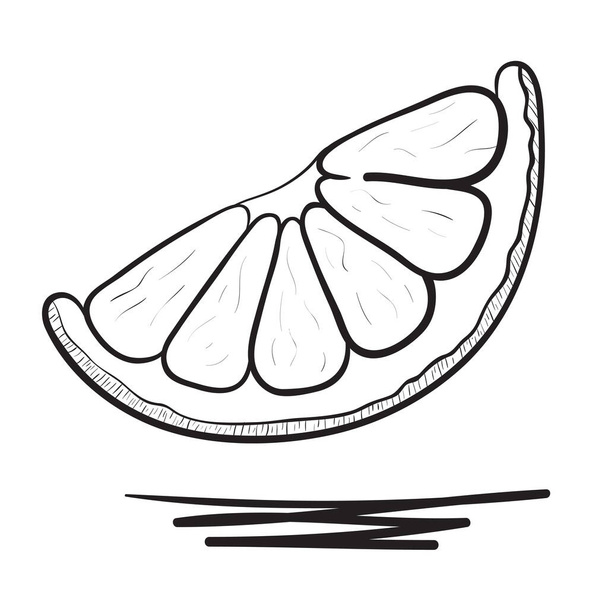 ručně tažené citron ilustrace - Vektor, obrázek