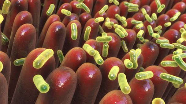 Jelito ludzkie z bakteriami jelitowymi, ilustracja 3D. Mikrobiom jelita ludzkiego - Zdjęcie, obraz