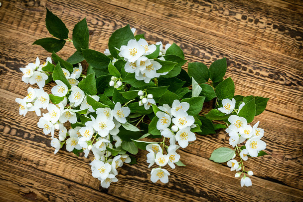 Branch of jasmine flowers on the wooden boards. Top view. - Photo, Image