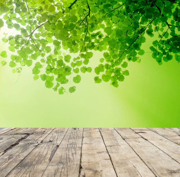 Порожня дерев'яна стільниця і розмиті листя зеленого дерева на фоні саду парку
 - Фото, зображення