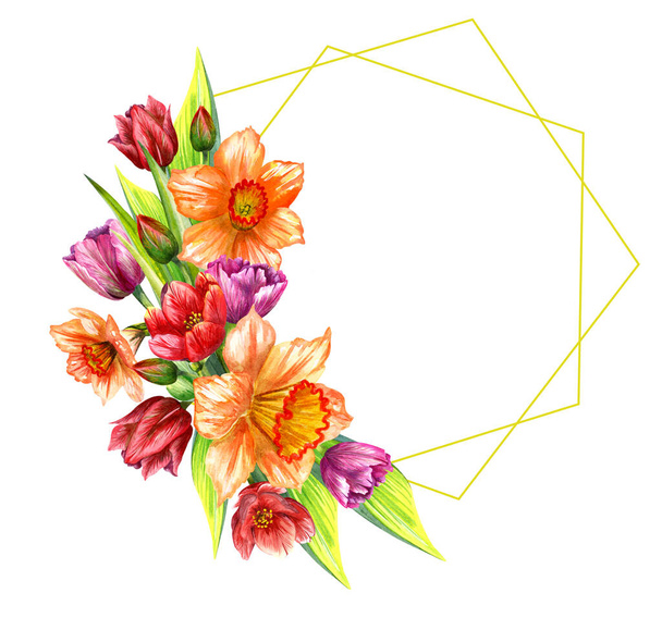 Watercolor tulips, daffodils. Watercolor illustration of spring flowers. - Valokuva, kuva