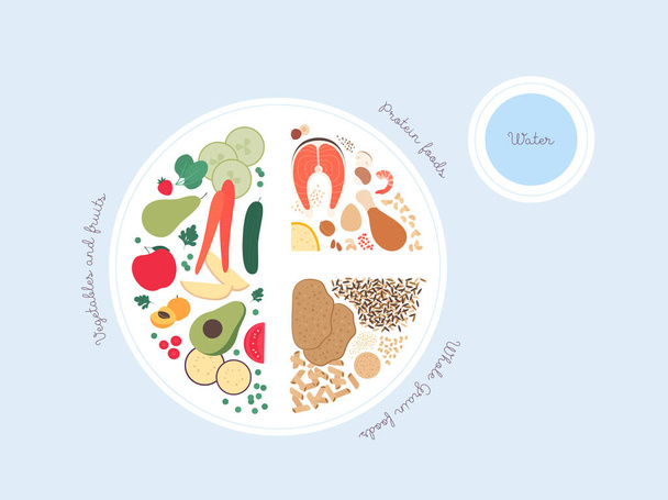 Sano concetto guida piatto di cibo. Illustrazione moderna piatta vettoriale. Infografica del piano nutrizionale di raccomandazione con etichette. Icona colorata di carne, frutta, verdura e cereali con acqua. - Vettoriali, immagini