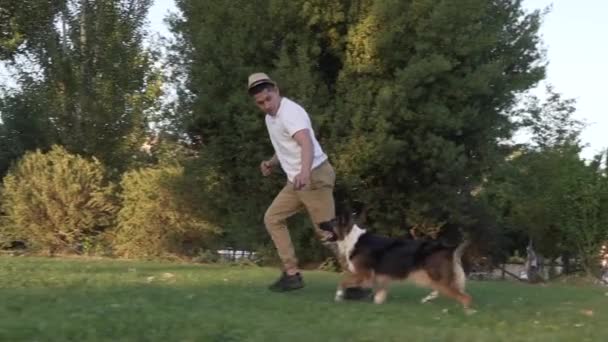 Fronteira Collie cão correndo ao lado de seu proprietário, câmera lenta - Filmagem, Vídeo