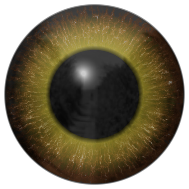 Eye iris generated hires texture - Photo, Image