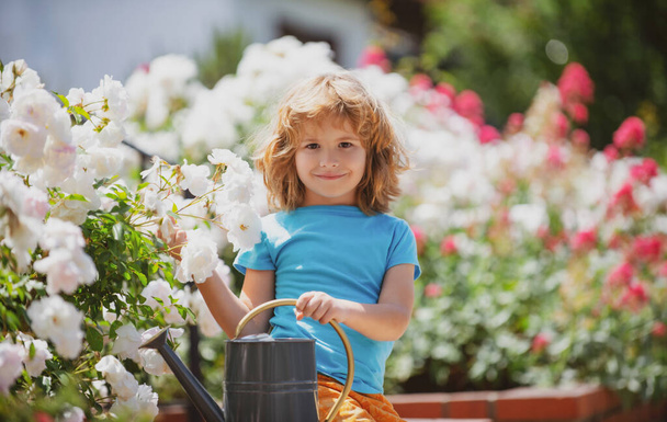 Cute little toddler boy watering plants with watering can in the garden. Child helping parents to grow flowers in yard. Activities with children outdoors. - Foto, Imagem