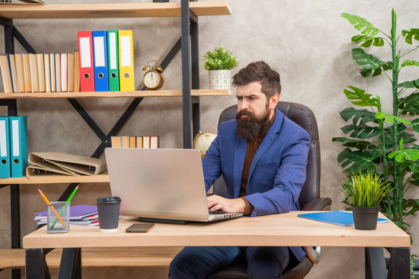 concentrated brutal ceo in businesslike suit with pc at the office, office worker - Photo, image