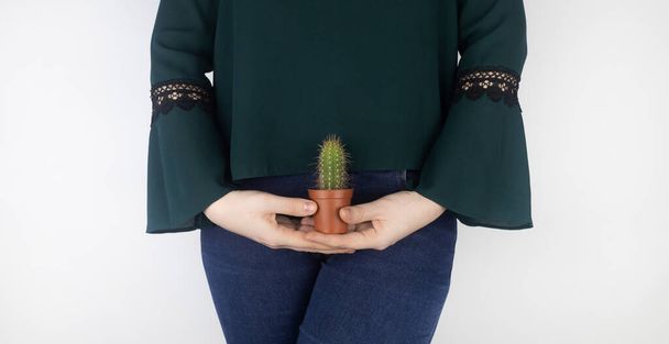 Naisvartalon lähikuva. Kaktus sisäelinten taustalla symboloi naisten kipuja. Kohtu, kohtu ja munasarjat. Käsitteen kuva naisellisesta intiimistä terveydestä. - Valokuva, kuva
