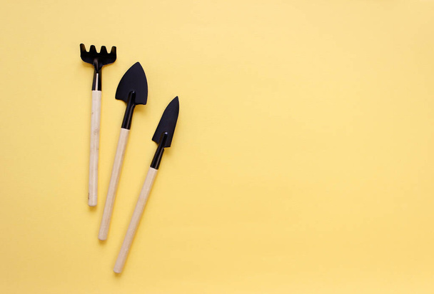 gardening tools and houseplant on color background. copy space. - 写真・画像