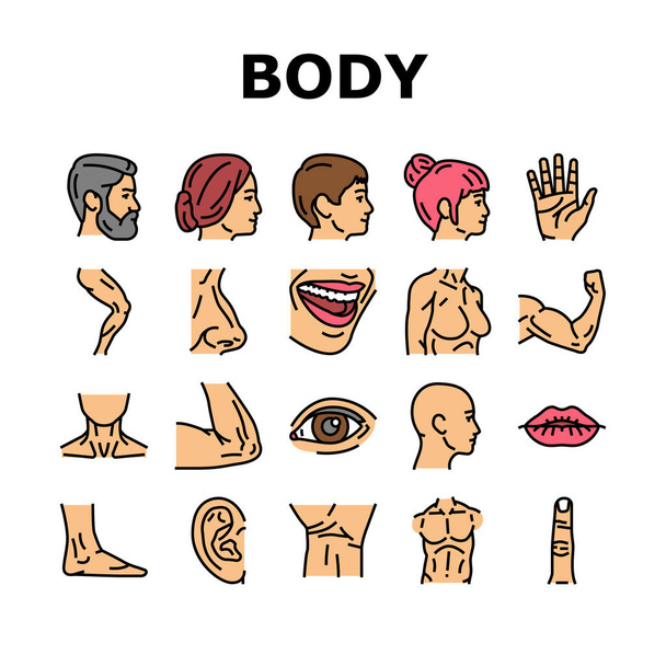 Cuerpo y Facial personas piezas iconos conjunto de vectores - Vector, imagen