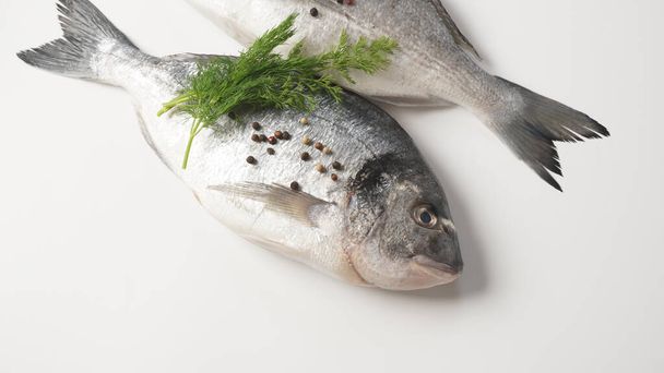 Raw fresh uncooked dorado or sea bream fish with lemon, herbs,  cherry tomatoes and spices on  black background - Valokuva, kuva