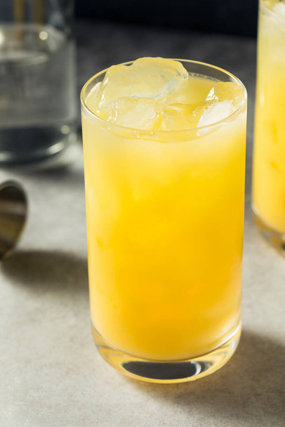 Boozy Cold Refreshing Gin and Juice in a Glass - Photo, image