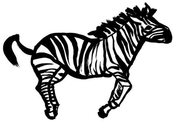 disegno di una zebra in esecuzione disegnato in guazzo nero isolato su uno sfondo bianco per manifesti - Foto, immagini