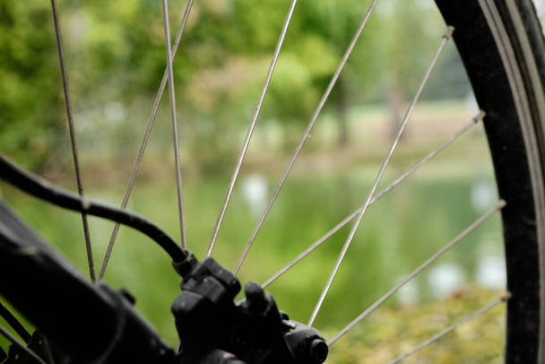 Велосипедні обідки і ботанічний розмитий ставок фото, деталі велосипедних обідків і колеса
 - Фото, зображення