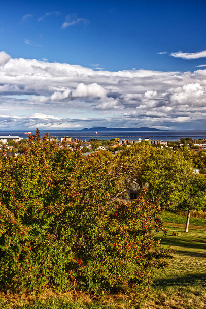 Lush vegetation seen from the hill top - Thunder Bay, ON, Canada - Foto, Bild