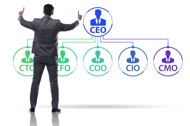 Illustration of organisation chart with various executives - Photo, Image