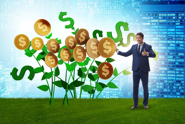 Empresario con árbol de dinero en concepto de negocio
 - Foto, imagen