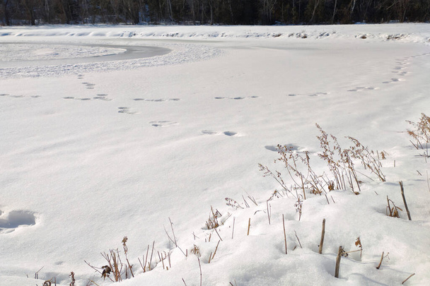 冬の風景の背景-足跡を持つ凍結氷の湖 - 写真・画像