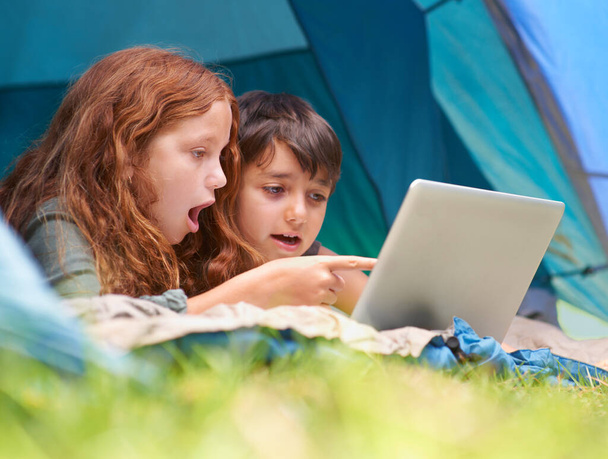 Accessing the web from the wilderness. A young brother and sister surfing the web while out camping. - Photo, Image
