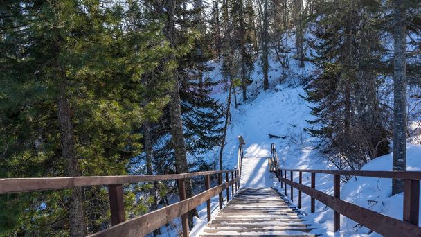 A wooden staircase with a railing descends from the hill. Snow on the steps and on the ground. Coniferous trees around. A sunny winter morning. Altai Republic. Manzherok - Foto, Imagem