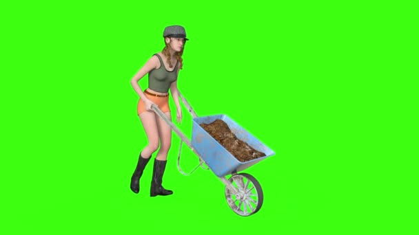 the girl with wheelbarrow animation, green background - Footage, Video