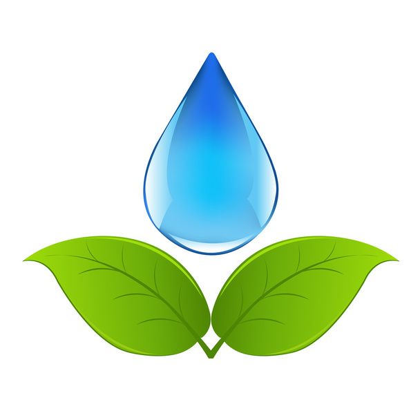 Drop Of Water With Sprout - Vetor, Imagem