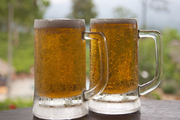 дві чашки охолоджене пиво - Фото, зображення