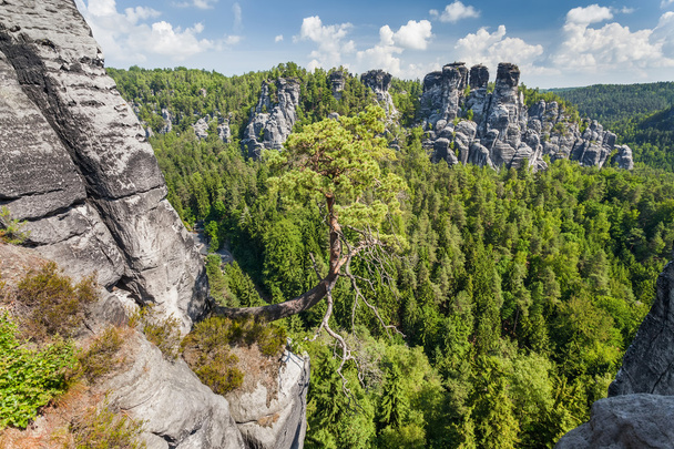 Szász-Svájc Nemzeti Park - Bastei, Németország - Fotó, kép