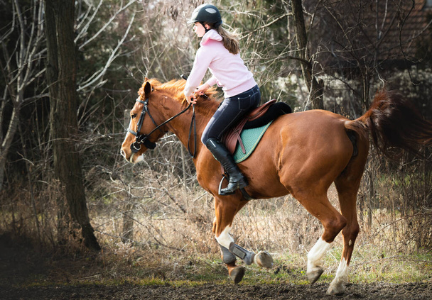 Junges hübsches Mädchen reitet ein Pferd - Foto, Bild