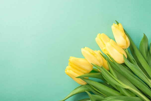 Foto vista superior del ramo de composición del día de la mujer de tulipanes amarillos sobre fondo azul pastel aislado con espacio en blanco - Foto, imagen