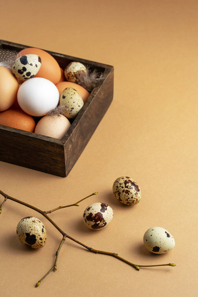 Easter composition with various eggs in wooden box and tree branch on beige background. Healthy food concept - Fotografie, Obrázek