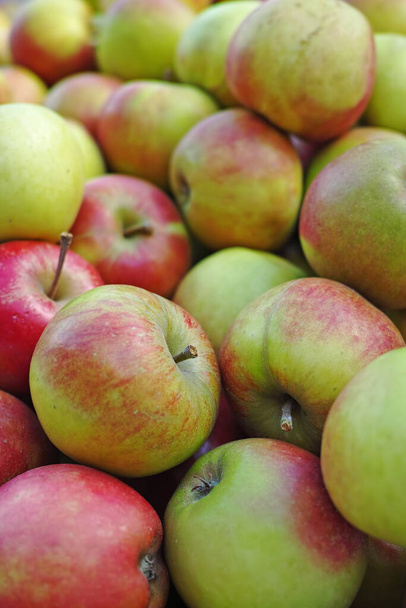 A photo of apples. A photo An apple a day keeps the doctor away apples. - Fotó, kép