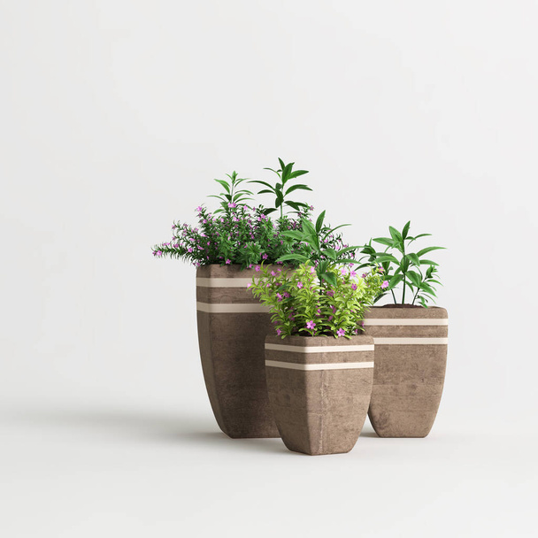 Collection of brown potted plants isolated on light background - Photo, Image
