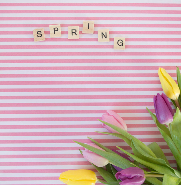 rosa, gelb und lila Tulpen auf rosa und weiß gestreiftem Grund im Frühlingshintergrund - Foto, Bild
