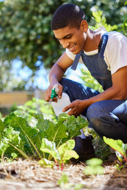 Le jardinage a toujours été un passe-temps. Coupé coup d'un beau jeune homme accroupi dans son jardin et pulvériser sa plante avec de l'eau. - Photo, image