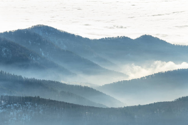Sylwetka gór we mgle nad morzem mgły w zimie. Południowe Wogezy. Francja. - Zdjęcie, obraz