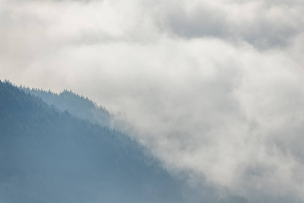 Silueta hor v mlze nad mořem mlhy v zimě. Jižní Vosges. Francie. - Fotografie, Obrázek