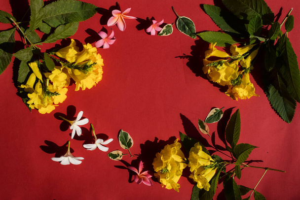 Foto de fondo de flores con espacio de fondo rojo sólido en blanco en el centro y rodeado de hermosas flores de Frangipani blanco, champa rosa, flores amarillas ancianas con hojas.Espacio para escribir fuente de texto - Foto, Imagen